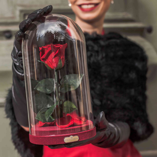 Eternal Red Rose Beauty & The Beast