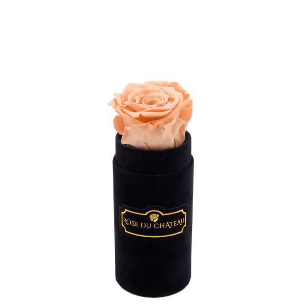 Eternity Peach Rose & Mini Black Flocked Flowerbox