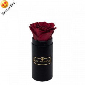 Eternity Red Rose & Mini Black Flowerbox