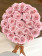 Eternity Pale Pink Roses & Large Black Flowerbox