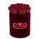 Eternity Red Roses & Small Red Flocked Flowerbox
