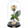 Eternal Gold Rose Beauty & The Beast