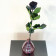 Eternal Black Rose - Long Stem 50 cm