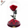 Eternal Red Rose Beauty & The Beast