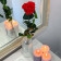 Eternal Red Rose - Long Stem 50 cm