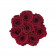Eternity Red Roses & Small Coco Flocked Flowerbox