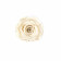 Eternity White Rose & Mini White Flowerbox