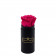 Eternity Pink Rose & Mini Black Flowerbox
