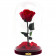 Eternal Red Rose Beauty & The Beast